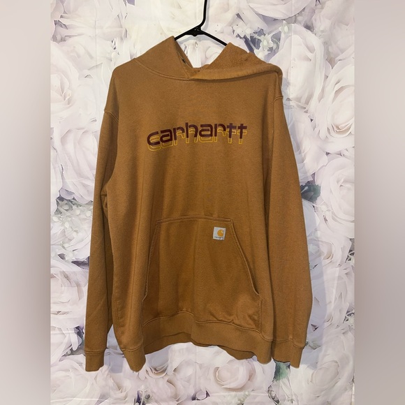 Carhartt Other - Carhartt Rain Defender Hoodie Mens XL Brown Loose Fit Workwear Pullover